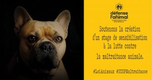 Lutte Maltraitance twitter5