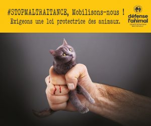 Luttons contre la maltraitance11