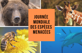 Journée mondiale des espèces menacées