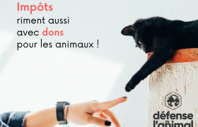 Votre don est déductible de vos impôts ! Soutenez Défense de l'Animal