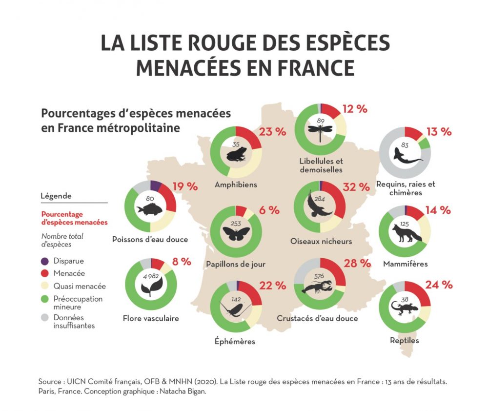 C’est La Journée Mondiale Des Animaux ! - Défense De L'animal