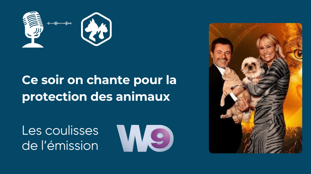 Ce soir on chante pour la protection des animaux - 17 août 2024 sur W9